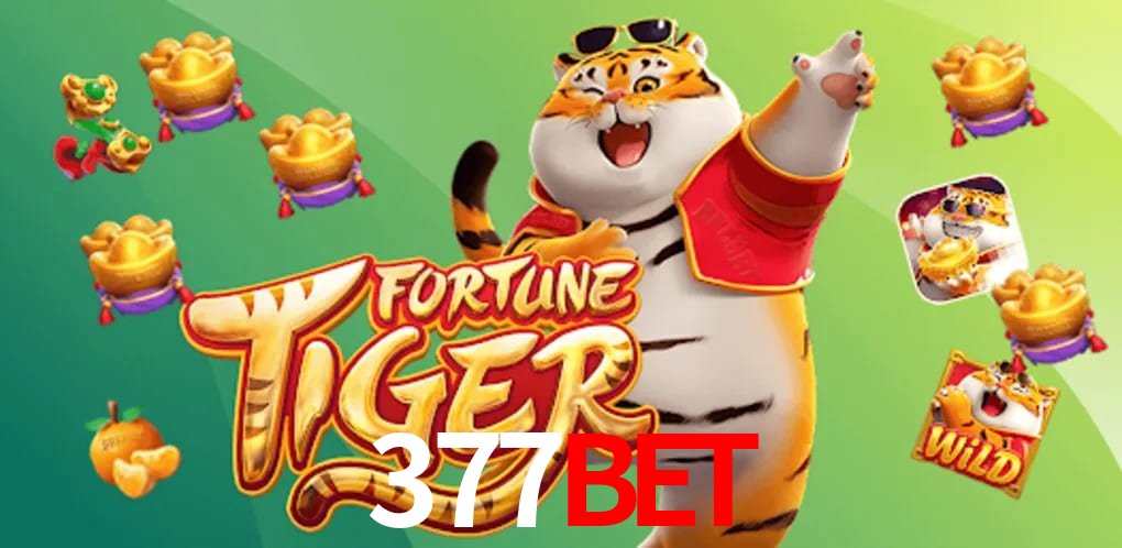 Basketball Betting 377Bet